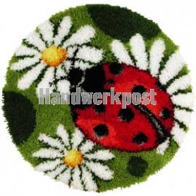 knoopkleed margrieten/lieveheersbeestje