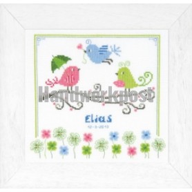 borduurpakket geboorte elias/olivia (incl. blauw/rose garen)