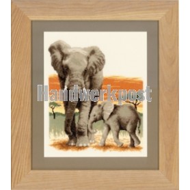 borduurpakket olifant met jong