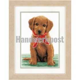 borduurpakket labradorpup met rode sjaal