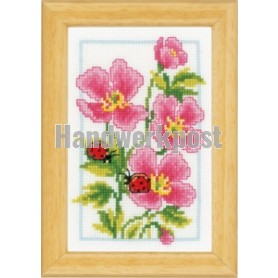 borduurpakket rose geraniums met lieveheersbeestjes