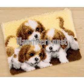 knoopkleed drie puppies