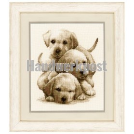borduurpakket drie labradorpups