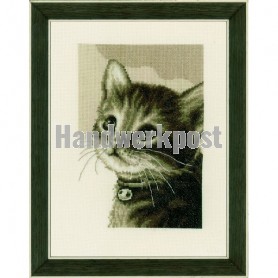 borduurpakket kitten