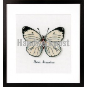 borduurpakket insecten, witte vlinder