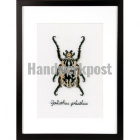 borduurpakket insecten, beige kever