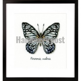 borduurpakket insecten, blauwe vlinder