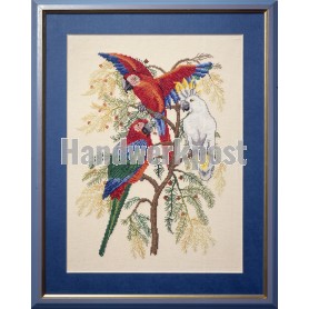 borduurpakket vogels, papegaaien