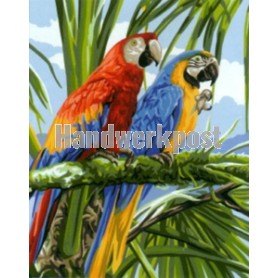 stramien papegaaien in regenwoud