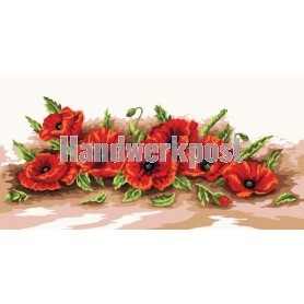 stramien papavers