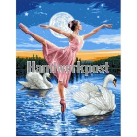 stramien + garenpakket, ballerina op zwanenmeer