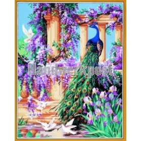 stramien + garenpakket, pauw met vogels