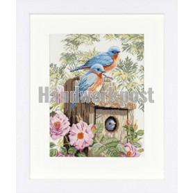 borduurpakket nestkastje met vogels