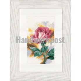 borduurpakket rose/rode roos "shy"