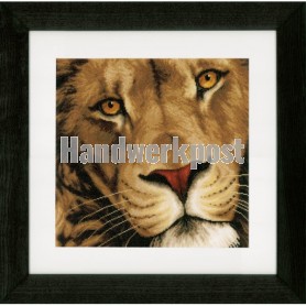 borduurpakket leeuw close-up