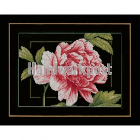 borduurpakket pioenroos close-up 