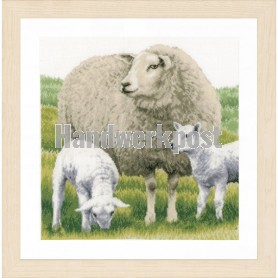 borduurpakket schaap met lammetjes