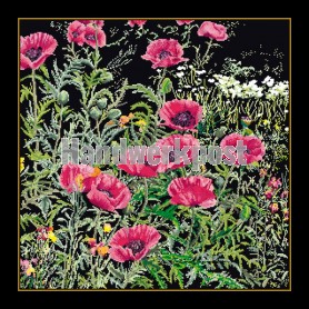 borduurpakket papavers rose op zwart