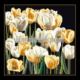 borduurpakket tulpenveld op zwart