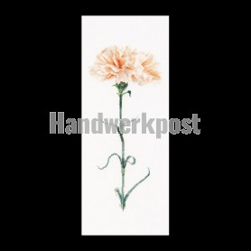 borduurpakket peach anjer