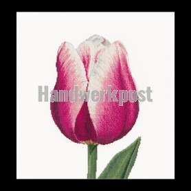 borduurpakket tulp-4