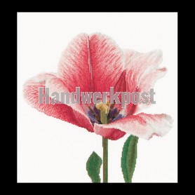 borduurpakket tulp-5