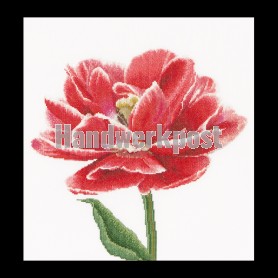 borduurpakket tulp-7