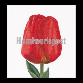 borduurpakket tulp-8
