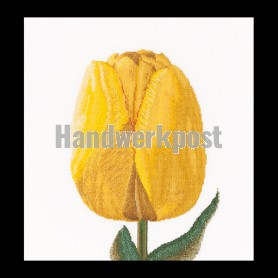 borduurpakket tulp-9