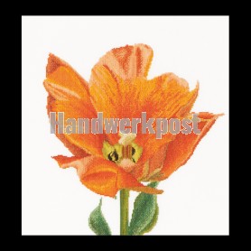 borduurpakket tulp-10