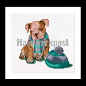 borduurpakket boxer met sjaal en muts