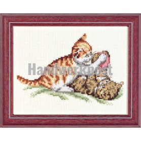 borduurpakket poezen