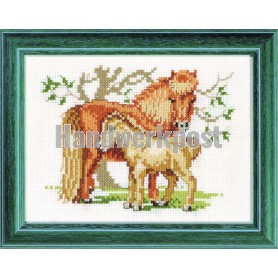 borduurpakket paard met veulen