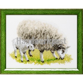 borduurpakket schaap met lammetje