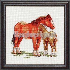 borduurpakket paard met veulen