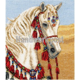borduurpakket arabier