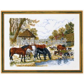 borduurpakket etenstijd voor de paarden