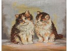 stramien + garenpakket, kittens (100% wol)