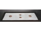 steelsteekloper papavers met klokjesbloemen, wit
