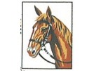 borduurpakket paard