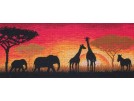 borduurpakket savanne bij zonsondergang