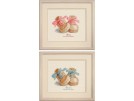 borduurpakket geboorte daan/lisa (incl. blauw/rose garen)
