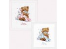 borduurpakket geboorte mateo/sylvia (incl. blauw/rose garen)