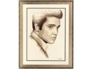borduurpakket elvis presley 