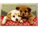 knoopkleed puppies