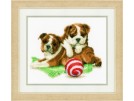 borduurpakket buldogs met bal