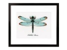 borduurpakket insecten, libelle