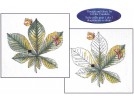 borduurpakket kastanjeblad (materiaal voor 1 dessin)