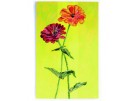 borduurpakket zinnia's-1