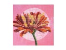 borduurpakket grote zinnia